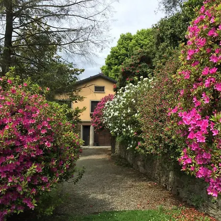 Apartment Provenzale Pallanza